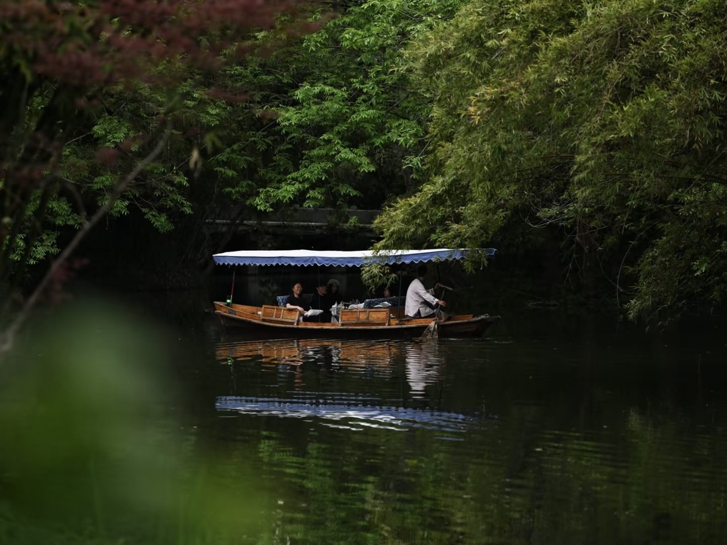 A wooden boat with passengers gliding under green willows on West Lake, Hangzhou