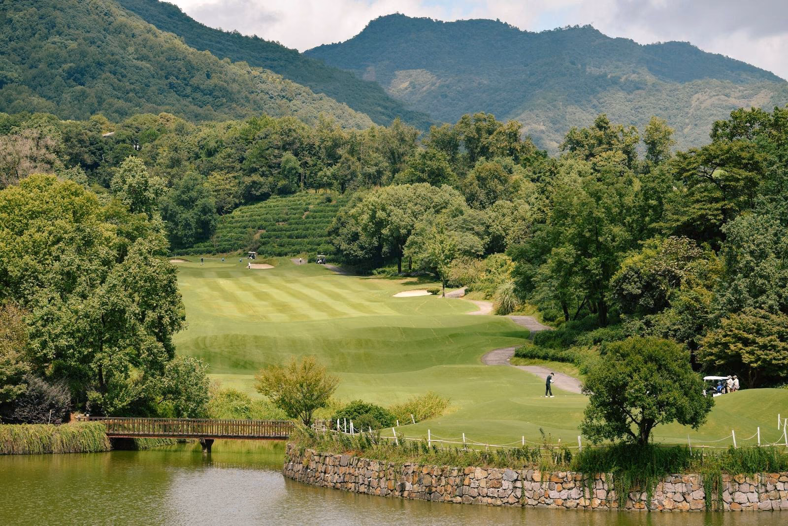 A fairway at Fuchun Golf Club climbing toward hillside tea terraces, forested mountains beyond