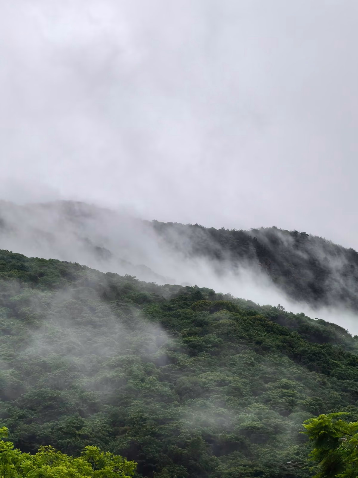 A serene garden resort in the mist
