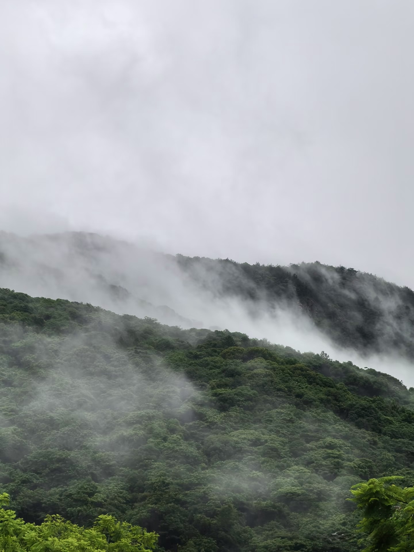 A serene garden resort in the mist