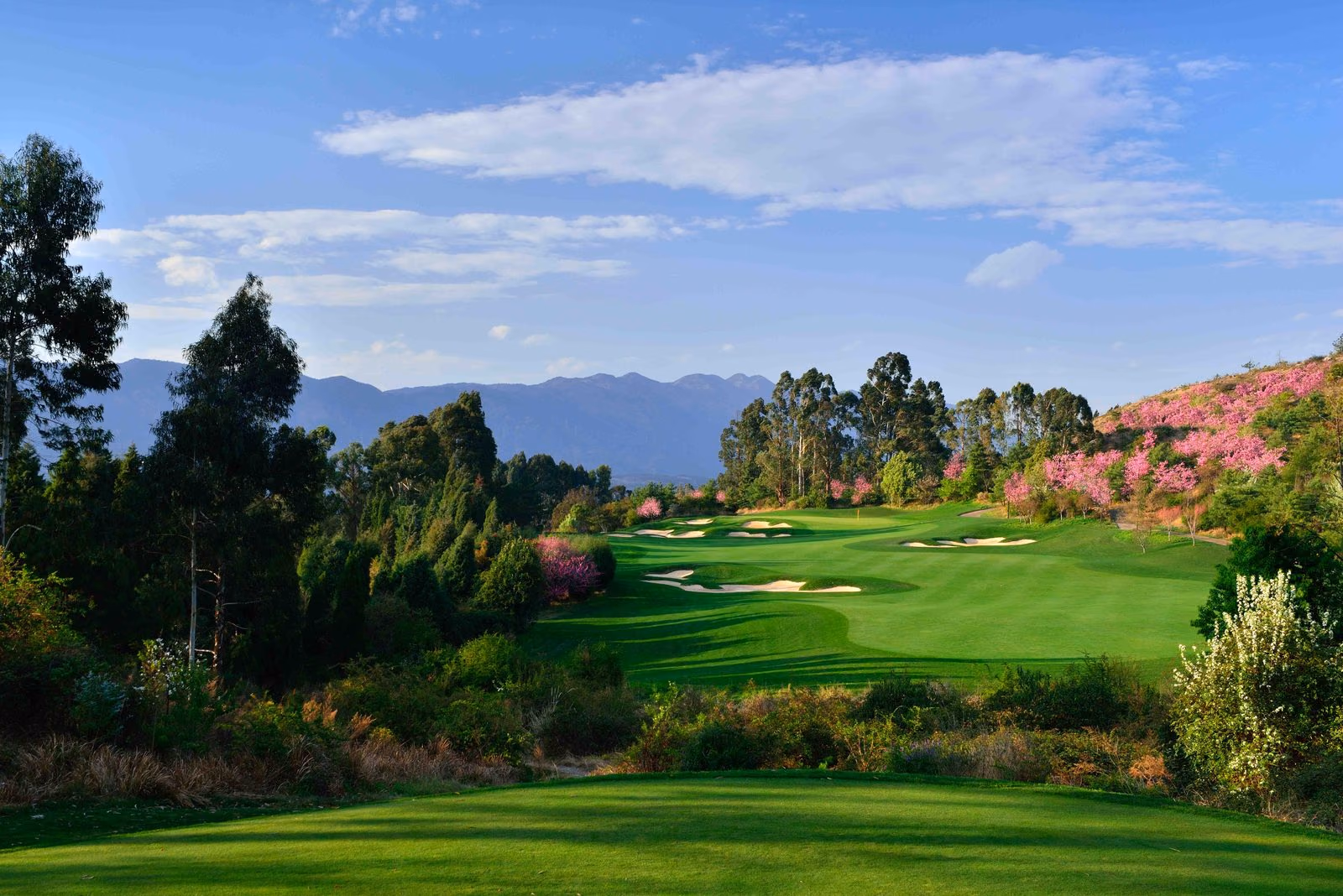 Spring blossom beside a fairway at Spring City