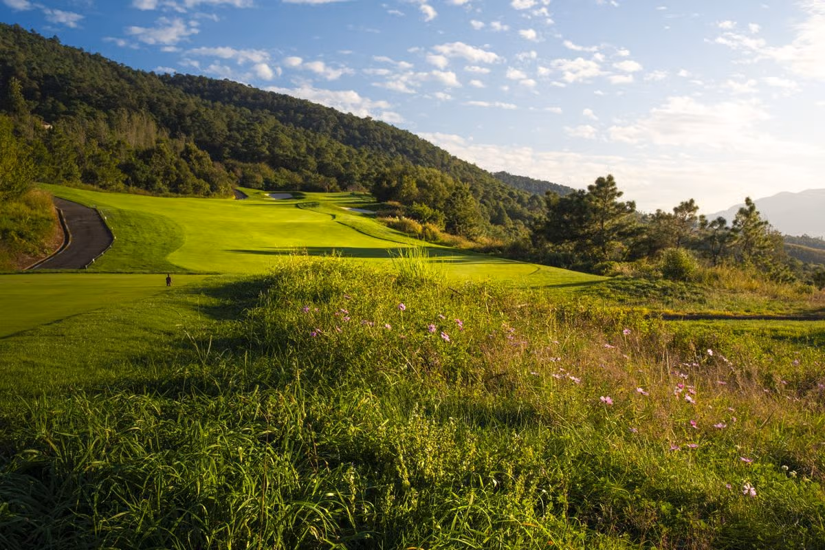 A forest-lined fairway at Spring City