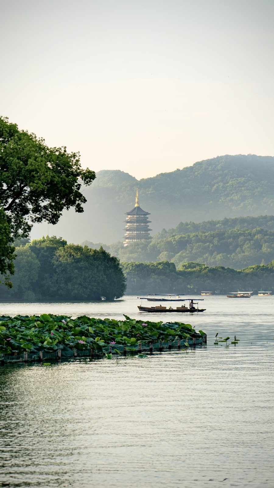 Leifeng Pagoda above West Lake, with lotus beds and a wooden boat, Hangzhou