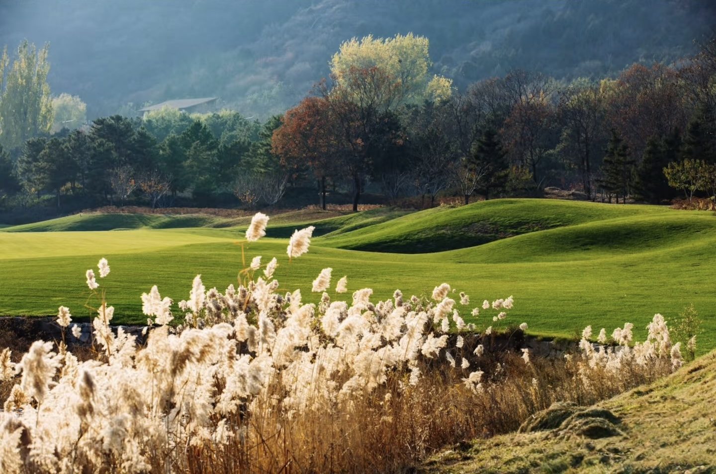Rolling fairways and autumn grasses beneath the Yanshan range at Topwin